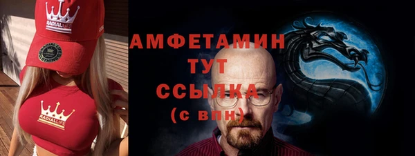 прущие грибы Верхний Тагил