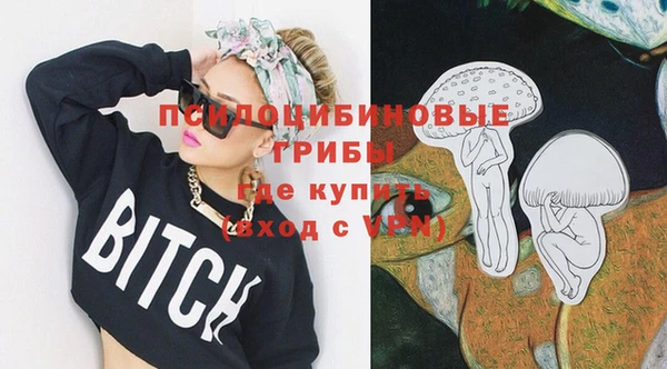 прущие грибы Верхний Тагил
