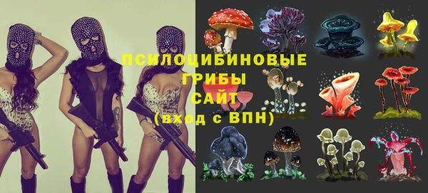 кокс Бородино
