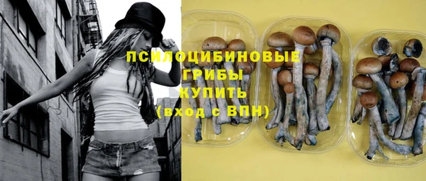 амф Бугульма